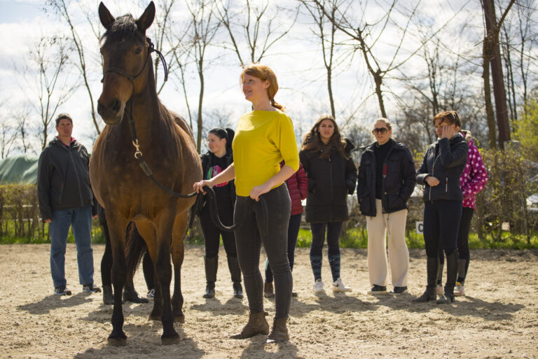 Tréning a Kardos Lovardában