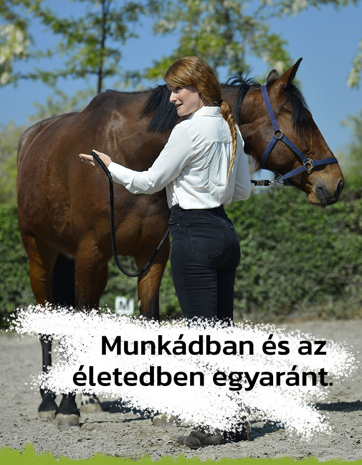 Vezetői készségfejlesztés mobil