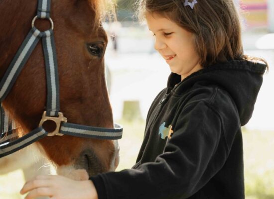 Ponis_Fotozas-12
