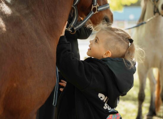 Ponis_Fotozas-13