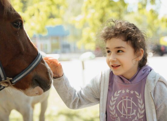 Ponis_Fotozas-14