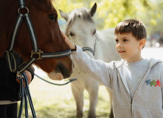 Ponis_Fotozas-15